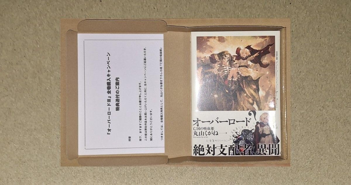 オーバーロード Blu-ray DVD 特典小説 収納BOX付き 亡国の吸血姫